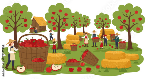Apple orchard scene with farmers harvesting apples into baskets amid trees  hay bales