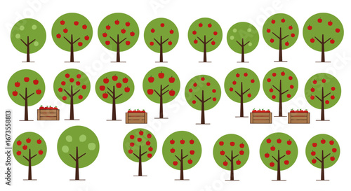 Rows of stylized apple trees some with apples some bare and some with crates of apples beneath