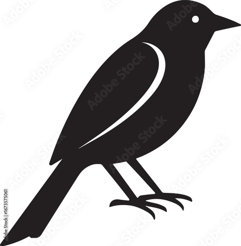 Stylized bird illustration with vibrant colors and clean lines