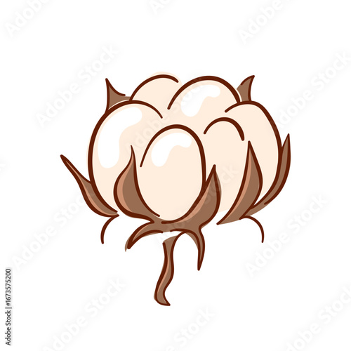 Flat style illustration of a single cotton boll with fluffy white fibers and brown shell isolated on white background. Perfect for textile farming and organic product design.