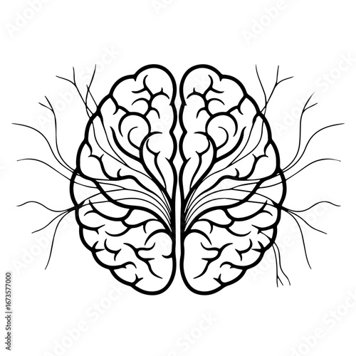 Line Art of a Human Brain