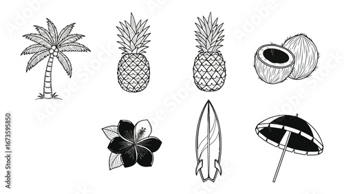 Tropical elements illustration collection