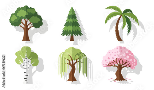 Variety of trees illustration