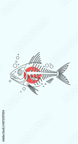Exploring the internal anatomy and skeletal structure of a fish with visible organs