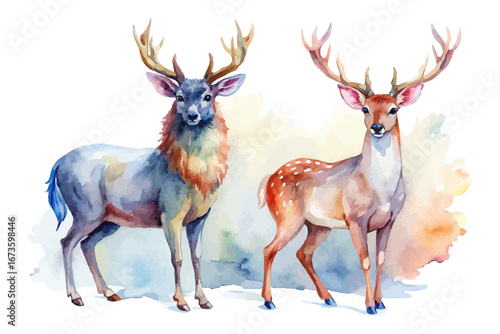 Watercolor woodland deer animals