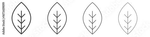 Leaf icon symbol. Vector isolated illustration.
