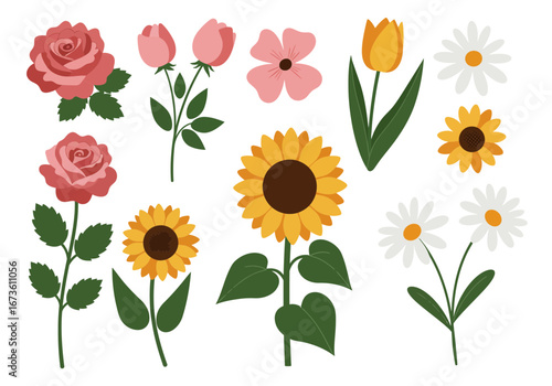 Set of botanical plant with flowers flat style art element design