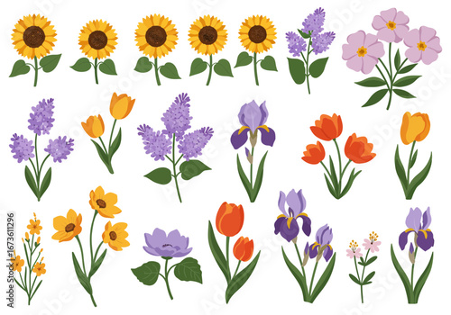 Set of botanical plant with flowers flat style art element design
