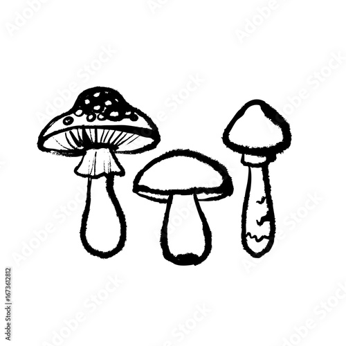 Whimsical sketch mushrooms. Autumn botanical element set. Hand drawn isolated vector illustration