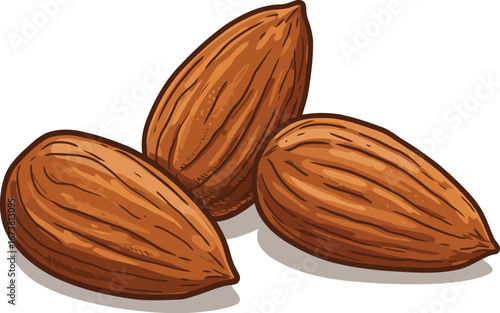 Healthy organic almonds trio natural nut snack ingredient food photography vector