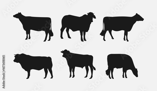 set of silhouettes of cow with different poses, gestures. isolated on white background. vector illustration.