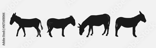 set of silhouettes of donkey with different poses, gestures. isolated on white background. vector illustration.