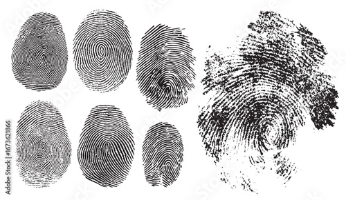 Set of black fingerprint patterns reveals unique oval shapes and swirls, portraying identity and security through intricate designs on a clean white backdrop.