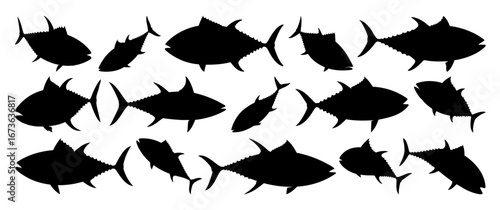 Tuna Fish Silhouette Vector Collection on Transparent Background, Ocean Sea Seafood Illustration