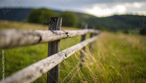 Wooden fence in the field