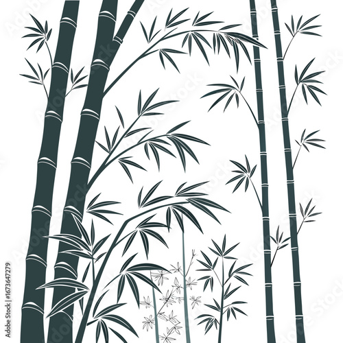 Dark green bamboo stalks and leaves silhouette against a white background with a natural organic feel