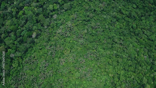 Congo – 4K Cinematic Drone Aerial of Northern Rainforest with Rivers and Pristine Wilderness