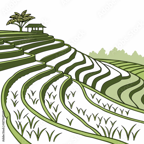 Lush green rice terraces cascade down a hillside with a traditional hut and a lone tree