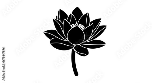 Elegant Black Lotus Flower Silhouette with Detailed Petals.