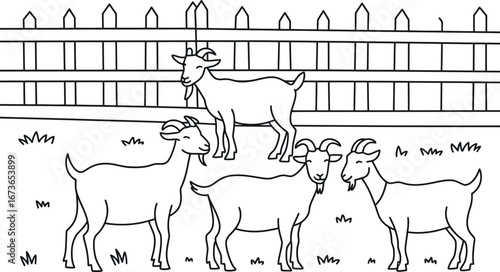 Four Goats Behind a White Picket Fence: Line Art Illustration