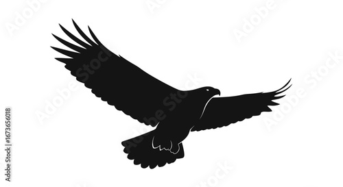 Majestic Black Silhouette of a Soaring Eagle in Flight.