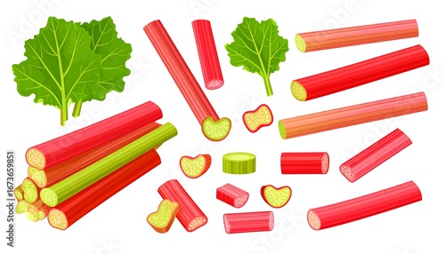 Colorful illustration of rhubarb stalks and leaves