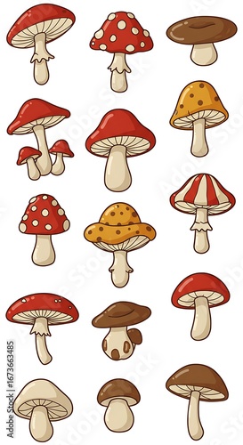 Fungal Fantasy: A Colorful Collection