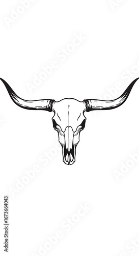 Longhorn Skull: Ink & Linework Illustration
