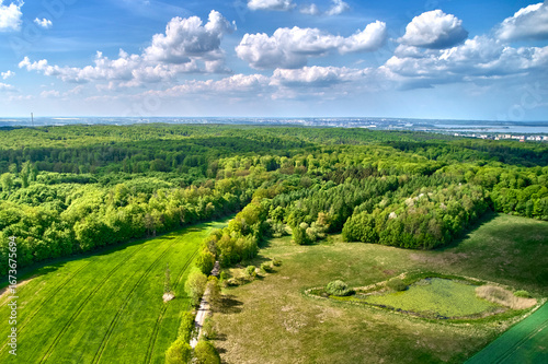 Widok z lotu ptaka na las