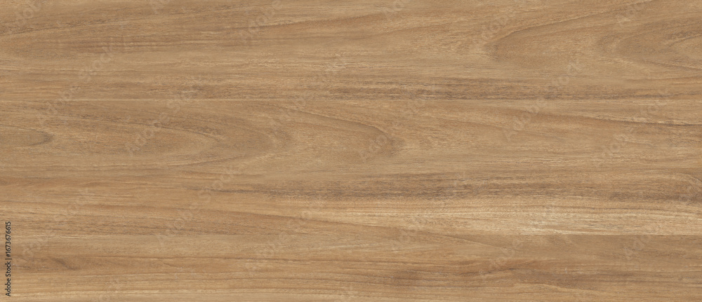 Naklejka premium Natural Oak wood texture background