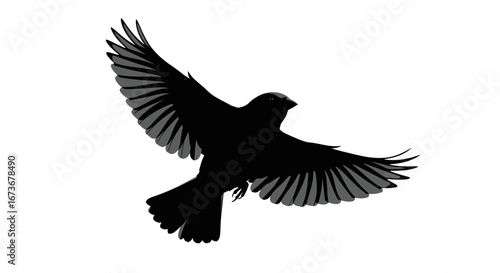 Majestic Silhouette of a Bird in Flight.