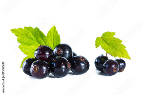 Ripe blackcurrant berries with leaves isolated on white.