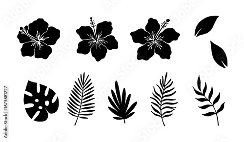 Hibiscus flower and tropical leaves vector silhouette, floral illustration, summer hawaiian plants set