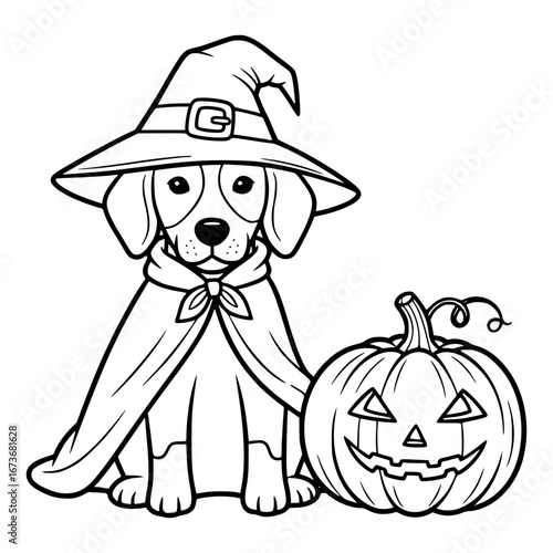 Dog in a witch costume next to a pumpkin - jack-o-lantern for Halloween. Vector illustration of a cat and pumpkin for Halloween.