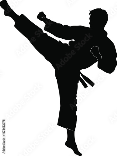 Martial Arts High-Kick Silhouette