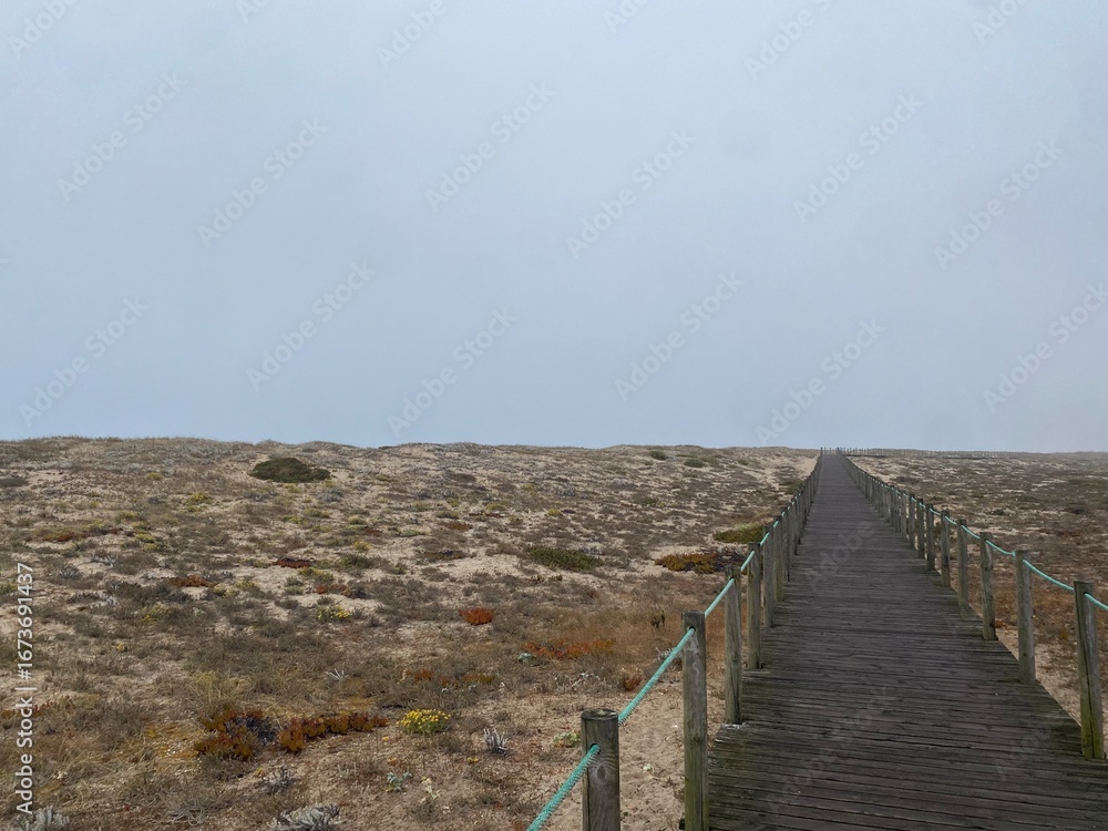 Fototapeta premium Wooden boardwalk on the beach
