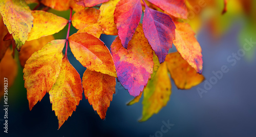 Wallpaper Mural Colorful autumn leaves on a vibrant background, designed as a beautiful mobile wallpaper. Torontodigital.ca