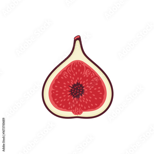 Halved Fig Illustration: Red Pulp, Seeds, and Pale Skin