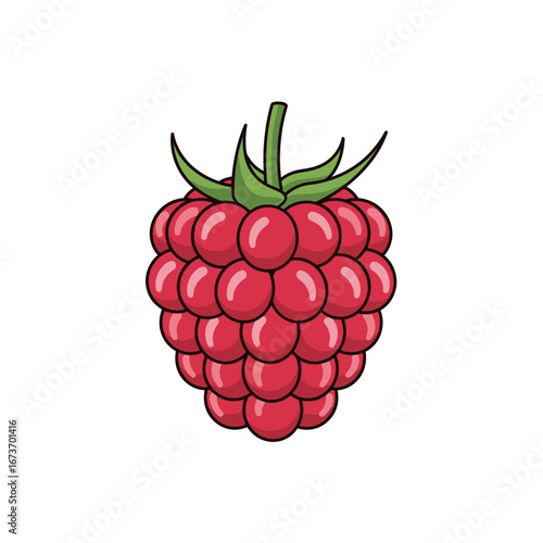 Cartoon Raspberry with Green Stem and Leaves