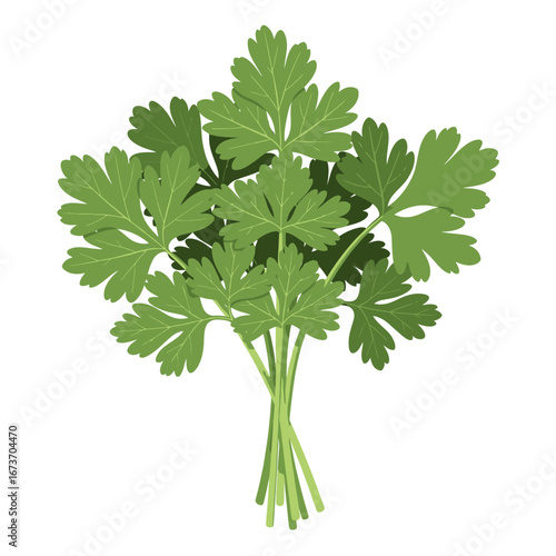 Culinary Delight, Kitchen, Illustration, Greenery, Close-Up, Flavorful Cooking