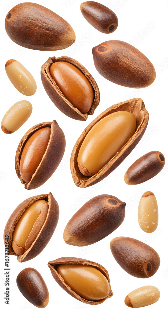 Obraz premium Argan nuts and kernels isolated on white background, natural edible nuts and seeds, healthy organic food ingredient, perfect for cooking and skincare