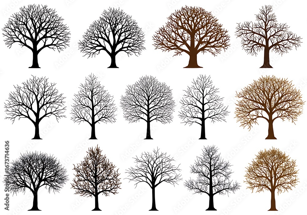 Obraz premium Winter Trees: A Silhouette Collection