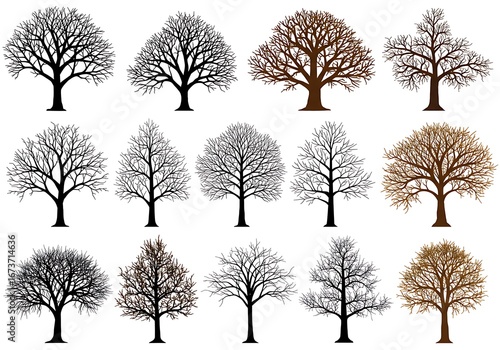 Winter Trees: A Silhouette Collection