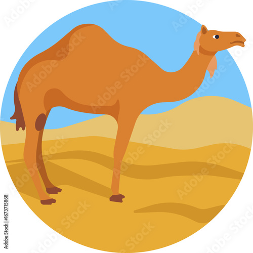 A desert camel standing, representing travel and life in arid regions.