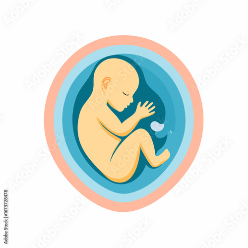 Fetal Development Simplified Baby Shape Inside Uterus - Flat Pastel Illustration