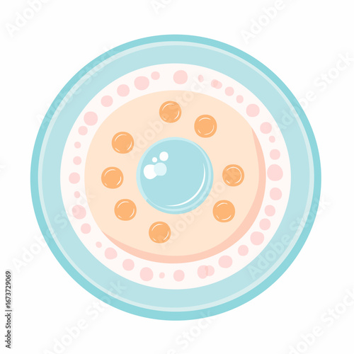 Stylized Zygote Cell Illustration A Visual Representation of Conception