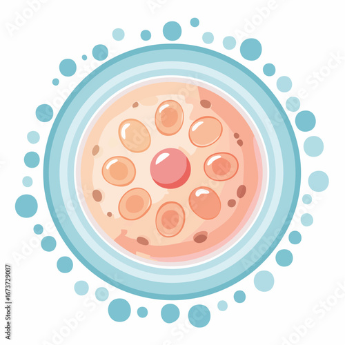 Vector illustration of a cell with a nucleus and components in a flat, pastel style, encircled