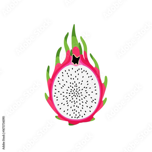 Vibrant Dragon Fruit Half with Green Spikes