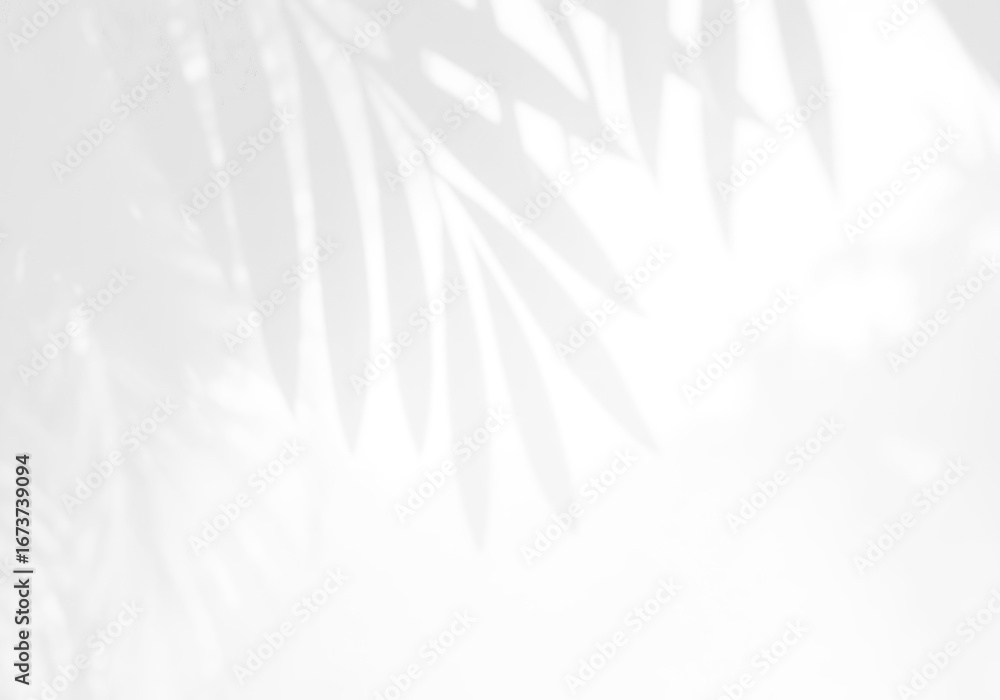 Obraz premium gray leaves background 