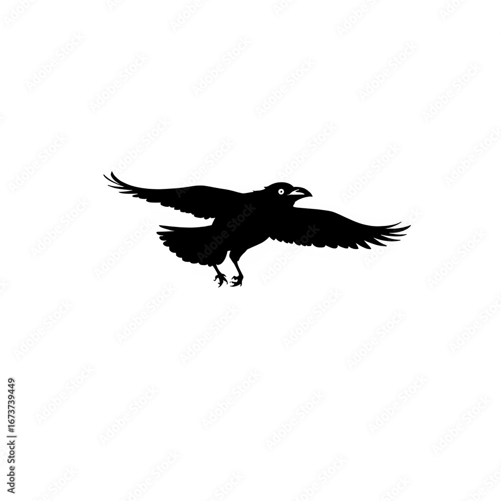 Silhouette of a Flying Crow Isolated Against White Background Silhouette of a Flying Crow Isolated Against White Background
